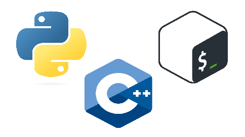 Programming & Numerical Simulation logo